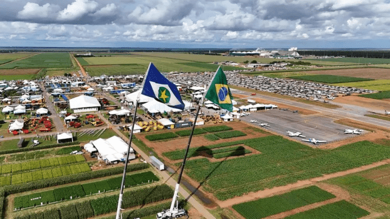 Show Safra Pecuária: Um Impulso para a Economia Regional