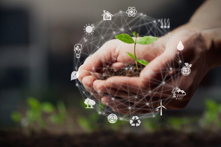 Desenvolvimento Sustentável: Caminho Estratégico para a Criação de Valor nas Empresas