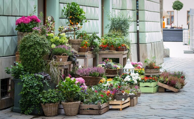 Como escolher as flores certas