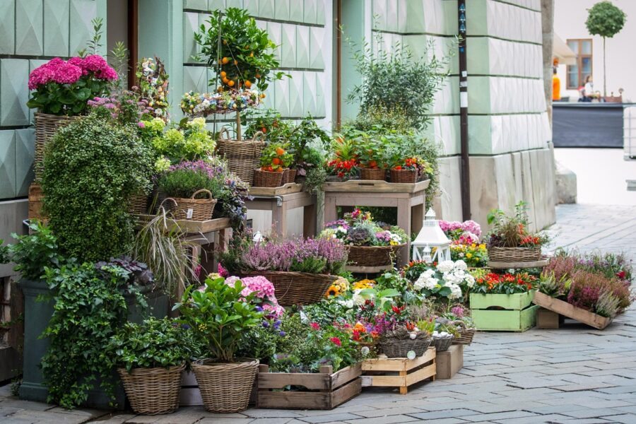 Como escolher as flores certas