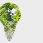 Sustentabilidade e economia