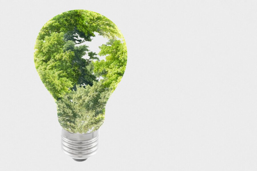 Sustentabilidade e economia